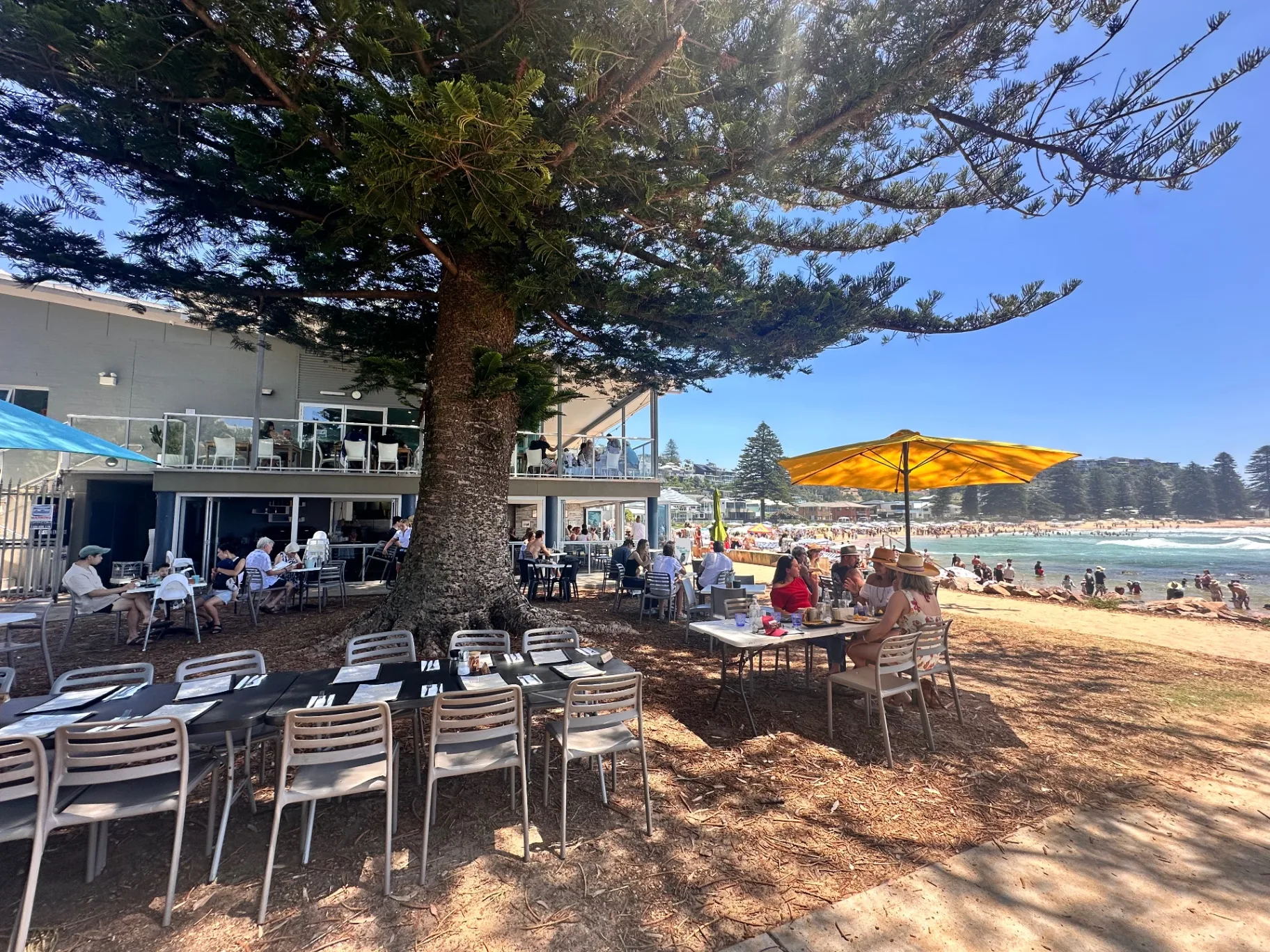 Avoca Beach