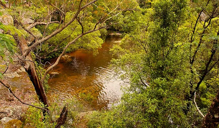 Girrakool Loop Track and Suspension Bridge